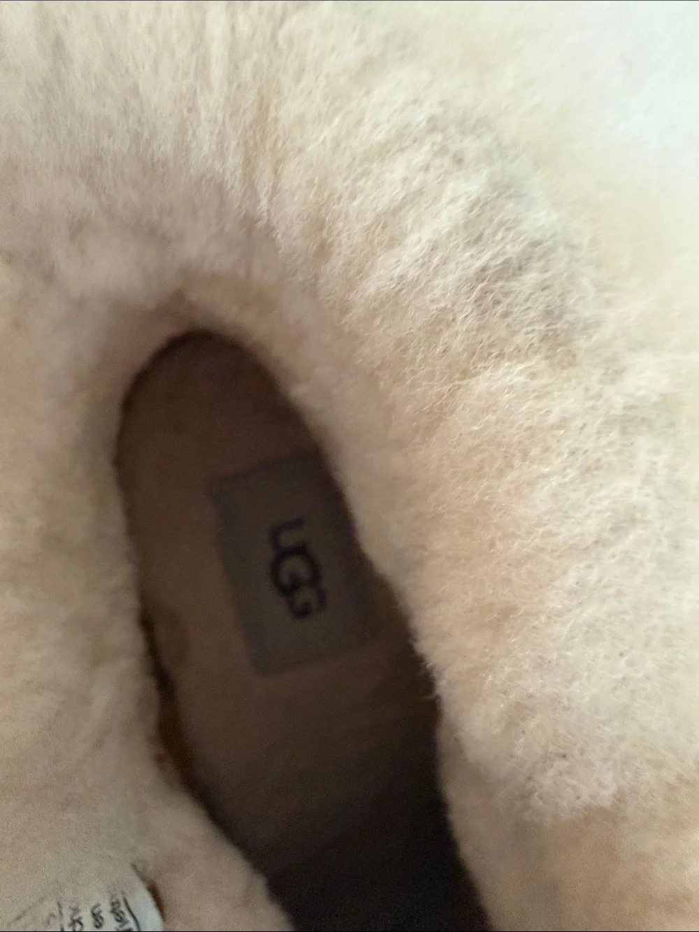 UGG Chestnut Suede Ankle Boots with Cream Shearling Trim